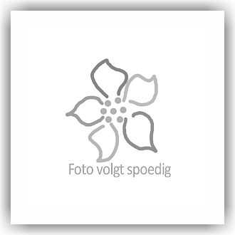 Bunzlau Vaas 20 cm hoog (1028) - Spring Flower (2194)
