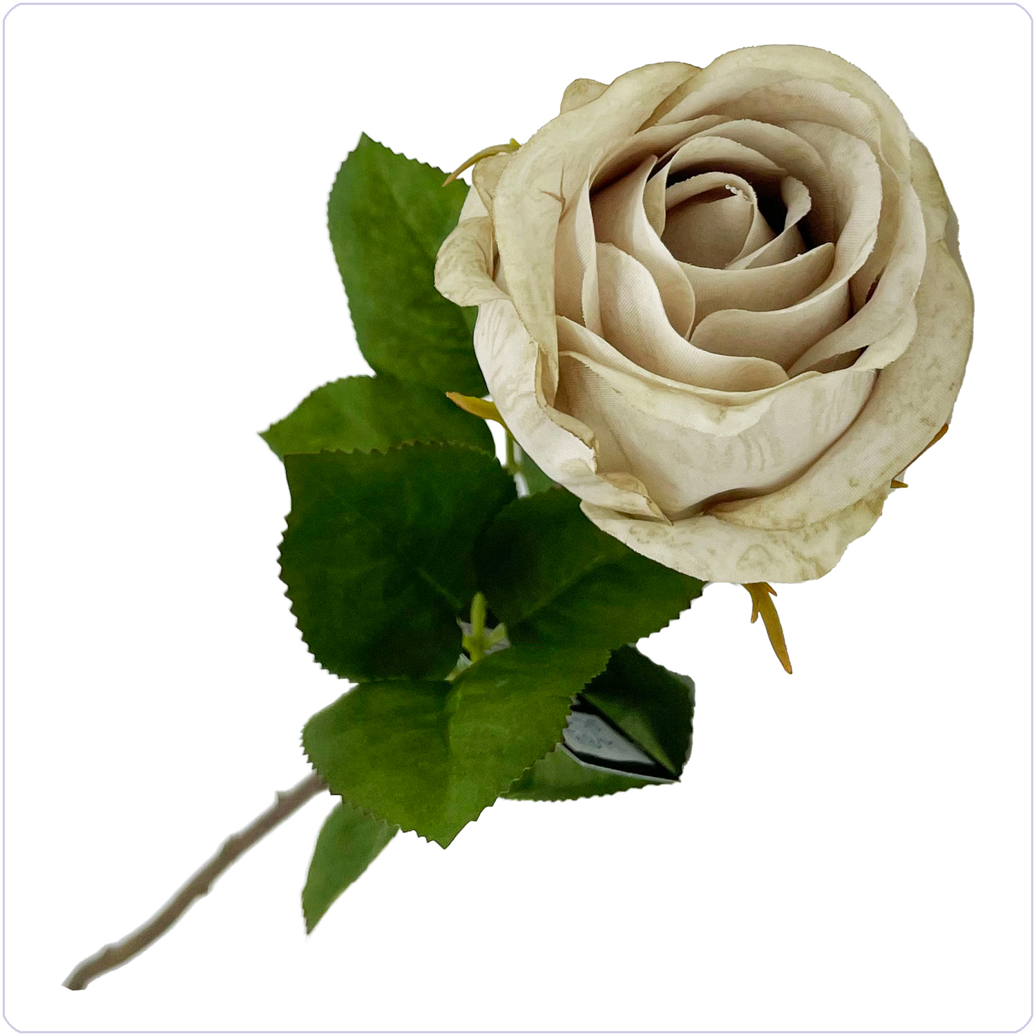 Bunzlau Roos grey zijde 56cm (KB14)