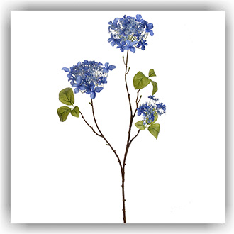 KB16 Hortensia tak donkerblauw 70cm